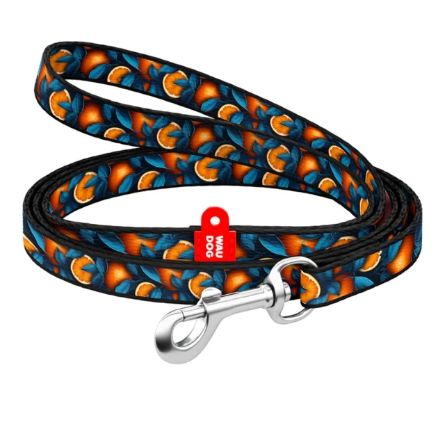 Поводок WAUDOG Nylon для кошек и мелких пород собак, рисунок "Апельсины", XS, 1 см, 1.22 м
