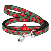 Повідeць WAUDOG Nylon для котів та дрібних порід собак, малюнок "Гранати", XS, 1 см, 1.22 м
