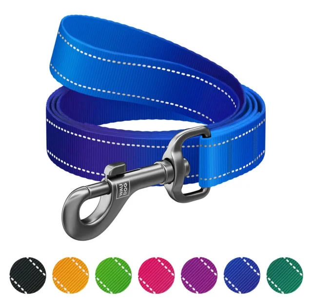 Поводок WAUDOG Nylon Mono для собак, светоотражающий, синий, M, 2 см, 2 м