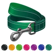Поводок WAUDOG Nylon Mono для собак, светоотражающий, зеленый, S, 1.5 см, 2 м