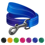 Поводок WAUDOG Nylon Mono для собак, светоотражающий, синий, S, 1.5 см, 2 м
