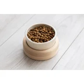 Миска PetJoy для собак та котів, на підставці, біло-бежева, 0.25 л, 13×13×7 см
