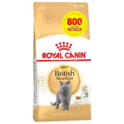 Сухий корм Royal Canin British Shorthair Adult для британських короткошерстих котів, 3.2 кг + 800 г у подарунок