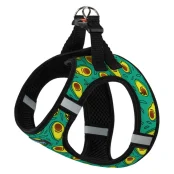 Шлея Barksi Sport Vest для собак, авокадо, XS, 29 см, 34 см