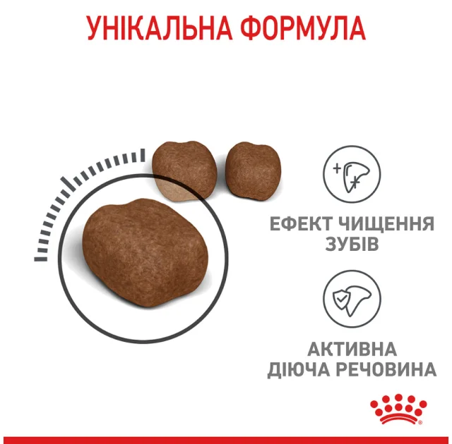 Сухий корм Royal Canin DENTAL CARE для зменшення утворення зубного каменю у кішок, 1.5 кг