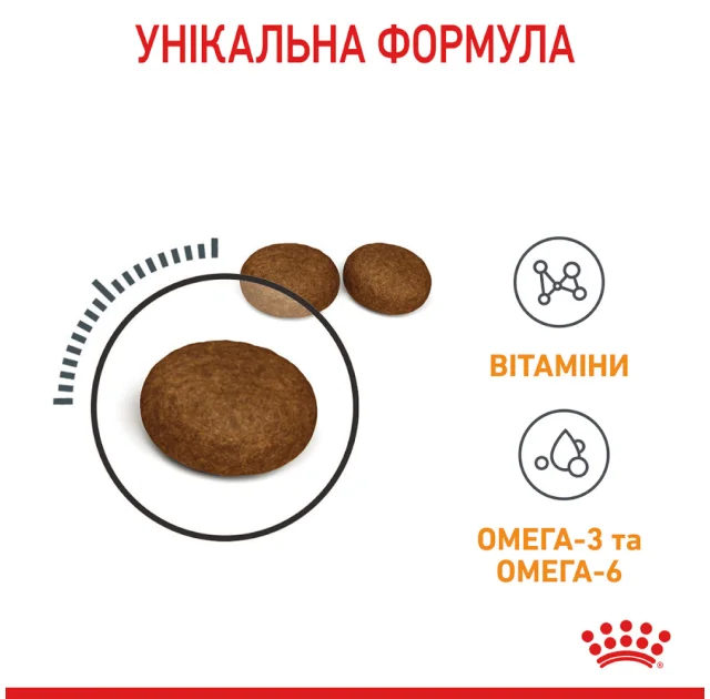 Сухий корм Royal Canin Hair & Skin Care для котів, догляд за шерстю, 10 кг