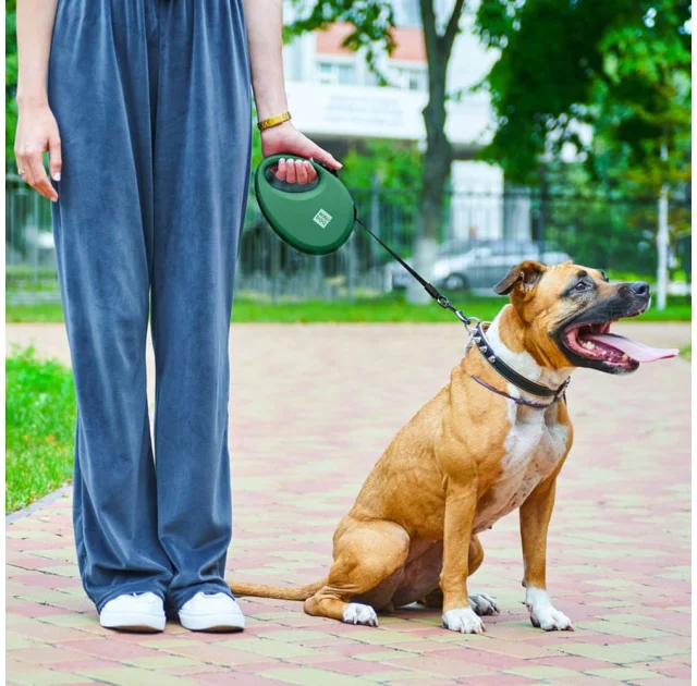 Повідець-рулетка Waudog R-leash для собак з контейнером для пакетів, світловідбивна стрічка, L, до 40 кг, 5 м, зелений