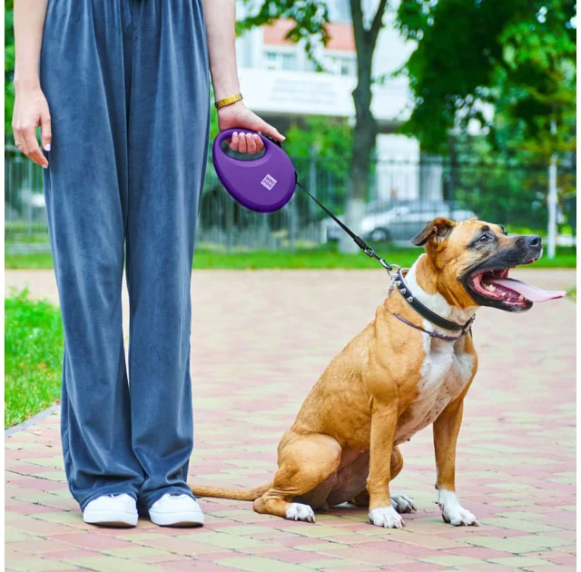 Повідець-рулетка Waudog R-leash для собак з контейнером для пакетів, світловідбивна стрічка, L, до 40 кг, 5 м, фіолетовий