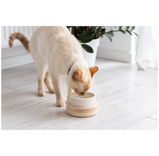 Миска PetJoy для собак та котів, на підставці, біло-бежева, 0.25 л, 13×13×7 см