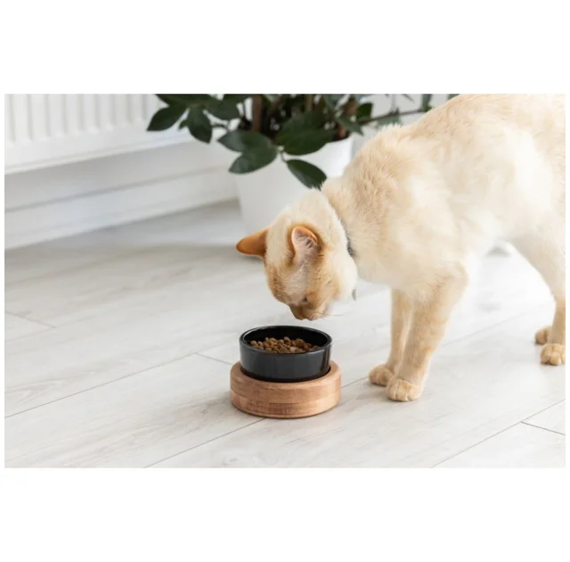 Миска PetJoy для собак та котів, на підставці, коричнево-чорна, 0.25 л, 13×13×7 см