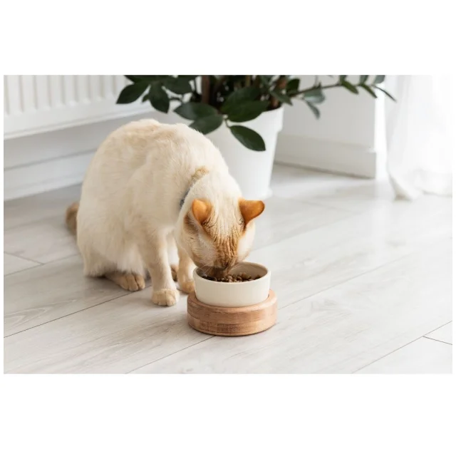 Миска PetJoy для собак та котів, на підставці, коричнево-бежева, 0.25 л, 13×13×7 см