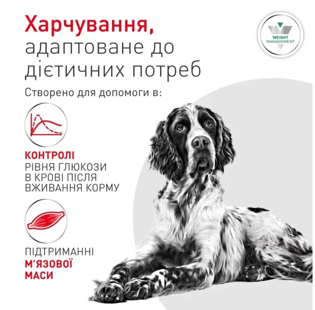Вологий корм Royal Canin Glycobalance Low Carbohydrate для собак, при цукровому діабеті, паштет, 410 г