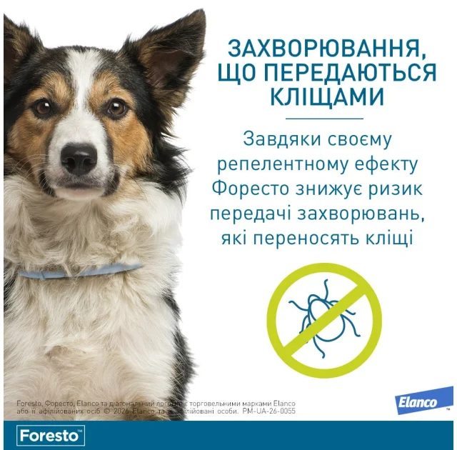 Нашийник  Elanco (Bayer) Foresto проти бліх та кліщів для собак, 70 см