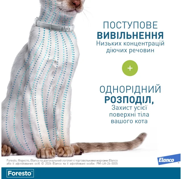 Ошейник Elanco (Bayer) Foresto против блох и клещей для кошек и собак, 38 см