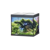 Акваріум EHEIM vivaline LED 150 2x12 Вт антрацитовий, без тумби (60x50x50, 150л) Акваріум EHEIM vivaline LED 150 2x12 Вт антрацитовий, без тумби (60x50x50, 150л)