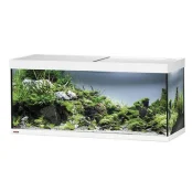 Акваріум EHEIM vivaline LED 240 20 Вт білий, без тумби (120x50x40, 240л) Акваріум EHEIM vivaline LED 240 20 Вт білий, без тумби (120x50x40, 240л)