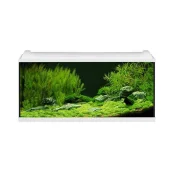 Акваріумний комплект EHEIM aquapro LED 180, білий (100x45x40, 180л) Акваріумний комплект EHEIM aquapro LED 180, білий (100x45x40, 180л)