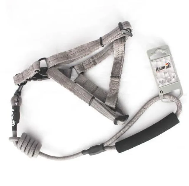 Комплект шлея з повідцем AnimAll
