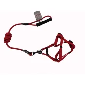 Комплект шлея с поводком AnimAll для животных, S, 0.8×120 см/37-46 см, красный