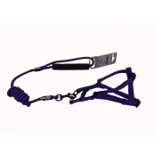 Комплект шлея с поводком AnimAll для животных, S, 0.8×120 см/37-46 см, синий