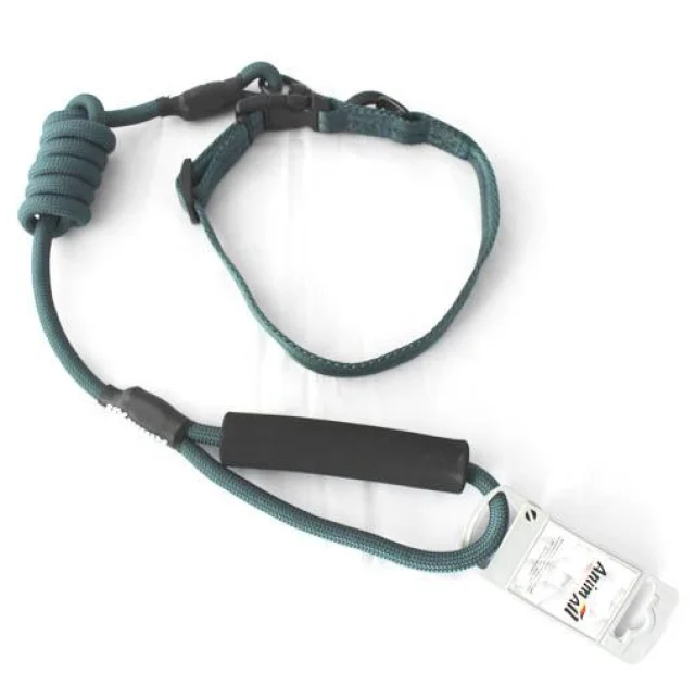 Комплект ошейник с поводком AnimAll для собак, M, 1×120 см/27-42 см, темно-зеленый