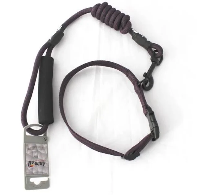 Комплект ошейник с поводком AnimAll для собак, S, 0.8×120 см/37-46 см, темно-фиолетовый