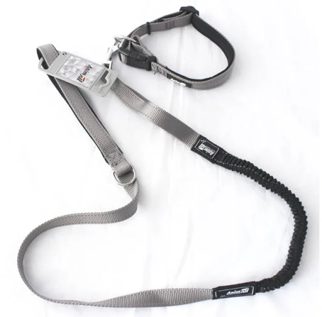 Комплект нашийник з повідцем AnimAll для собак, L, сірий