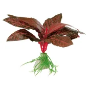 Шовкова декоративна рослина Ferplast BLU 9075 Silk Althernanthera для акваріума, 10 см Шовкова декоративна рослина Ferplast BLU 9075 Silk Althernanthera для акваріума, 10 см