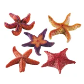 Декорация из полиуретана Ferplast BLU 9158 Starfish Small для аквариумов морские звезды, маленькие 9x9x2 см Декорация из полиуретана Ferplast BLU 9158 Starfish Small для аквариумов морские звезды, маленькие 9x9x2 см