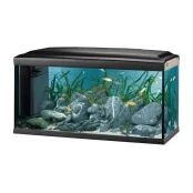 Стеклянный аквариум Ferplast Cayman 110 Professional Black T5 с лампами, внутренним фильтром и таймером, 230 л Стеклянный аквариум Ferplast Cayman 110 Professional Black T5 с лампами, внутренним фильтром и таймером, 230 л