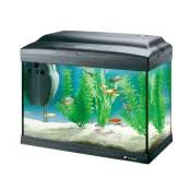 Стеклянный аквариум Ferplast Cayman 40 Classic с лампой и внутренним фильтром, 21 л Стеклянный аквариум Ferplast Cayman 40 Classic с лампой и внутренним фильтром, 21 л