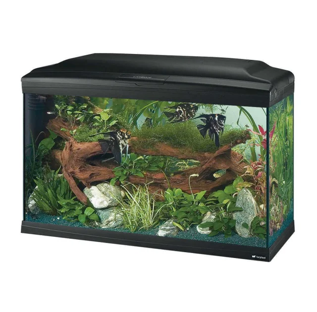 Скляний акваріум Ferplast Cayman 80 Professional Black T5 з лампами, внутрішнім фільтром і таймером, 120 л
