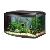 Акваріум з заокругленим склом Ferplast Cayman 110 Scenic Black T5 с, внутрішнім фільтром і таймером, 300 л Акваріум з заокругленим склом Ferplast Cayman 110 Scenic Black T5 с, внутрішнім фільтром і таймером, 300 л