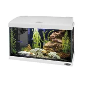 Аквариум стекляный Ferplast Capri 50 LED White с LED-освещением, белый, 40 л Аквариум стекляный Ferplast Capri 50 LED White с LED-освещением, белый, 40 л