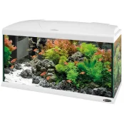Стеклянный аквариум Ferplast Capri 80 White с LED-освещением, белый, 100 л Стеклянный аквариум Ferplast Capri 80 White с LED-освещением, белый, 100 л