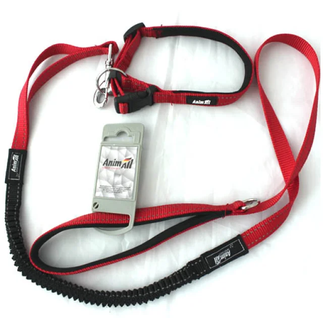 Комплект ошейник с поводком AnimAll для собак, M, 1×120 см/27-42 см, красный