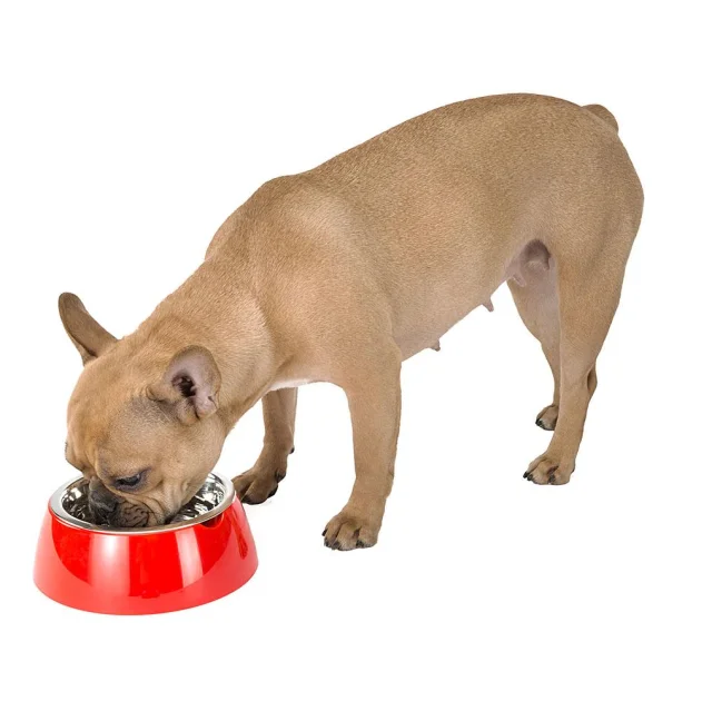 Ferplast Jolie Small Red Bowl металева миска для собак і кішок, 17,1 см