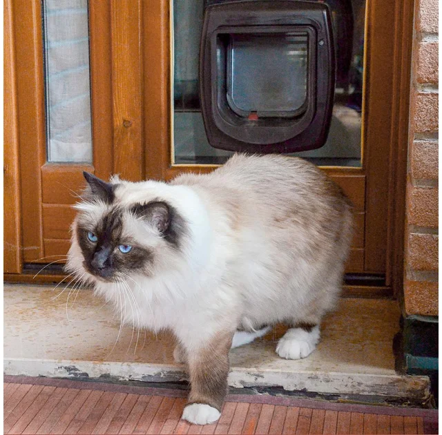 Ferplast Swing Microchip двери с микрочипом коричневые, 22.5x16.2x25.2 см