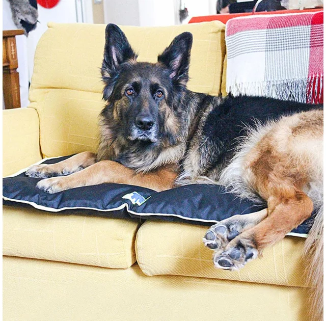 Водоотталкивающая подушка Ferplast Jolly 110 Cushion Black для собак, чорна, 108×79 см