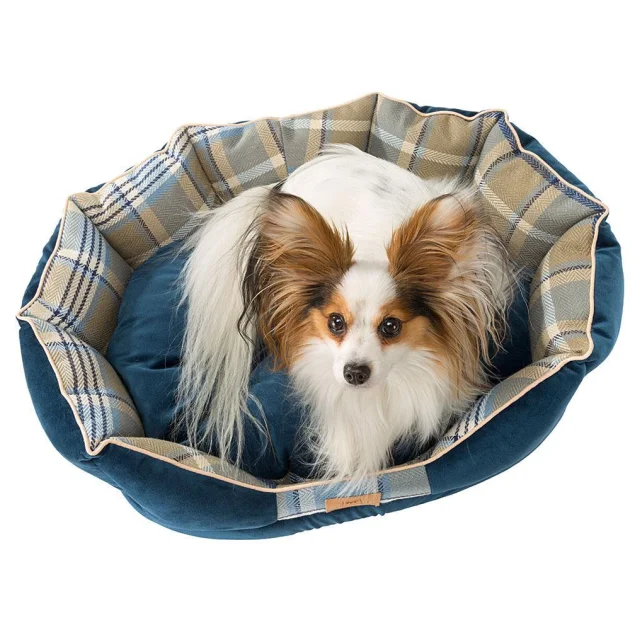 Лежак з двосторонньою подушкою Ferplast Charles 70 Bedding Blue для котів і собак, 68×47×25 см