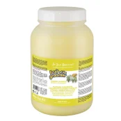 Шампунь для животных Iv San Bernard Ginger and Elderberry, 3.25 л.