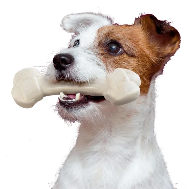 Жувальна іграшка Ferplast GoodBite Natural Chicken Bone M для собак, 13,5x4,4x2,1 см