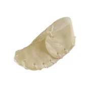 Жевательное лакомство Ferplast GoodBite Fun 4409 Shoues Natural 10g для собак, в форме ботинка, 7.5×4×2.6 см