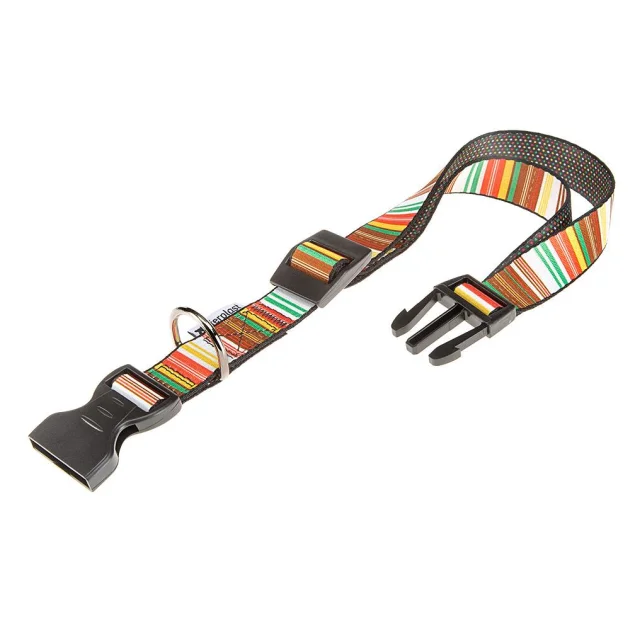 Ошейник Ferplast Arlecchino C25/70 для собак, нейлон