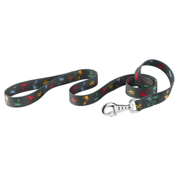 Нейлоновий поводок Ferplast Club G25 / 120 Cirus для собак, 25 мм, 120 см