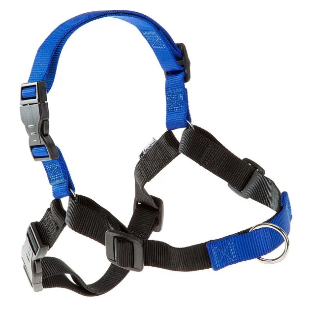 Шлейка Ferplast Coach P L-XL Harness Blue для дресирування, A: 40x53 см, B: 76x115 см