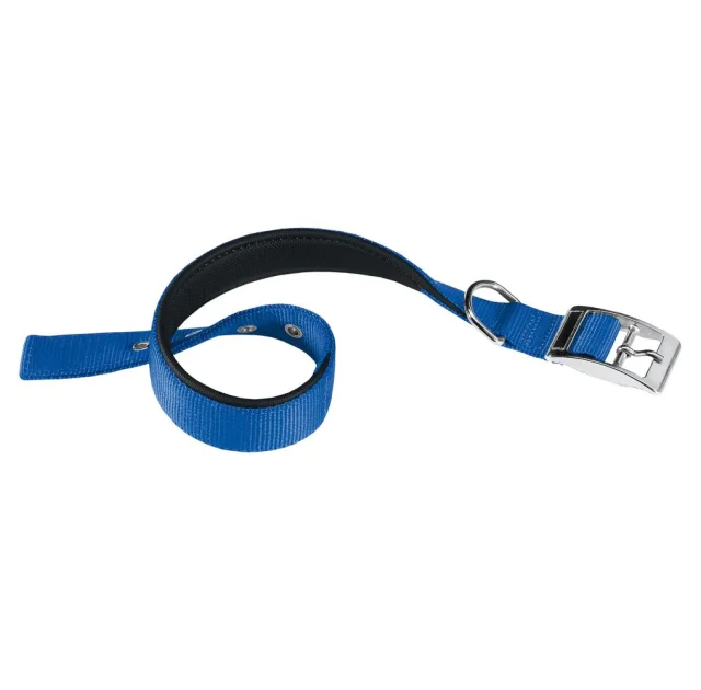 Нейлоновий нашийник Ferplast Daytona C40 / 63 Blue для собак, синій, A: 55x63 см, B: 40 мм