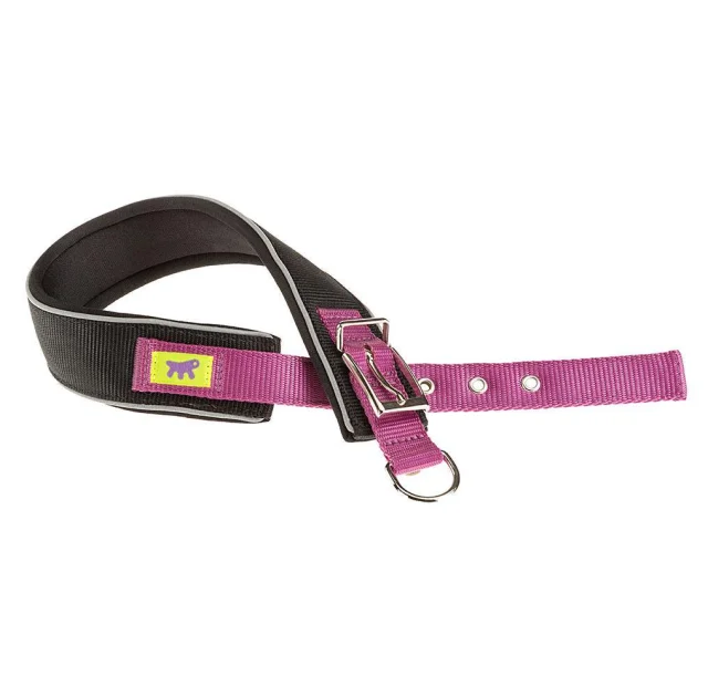 Нейлоновий нашийник Ferplast Daytona Comfort CF40 / 45 Purple для собак, фіолетовий, A: 37x45 см, B: 40 мм