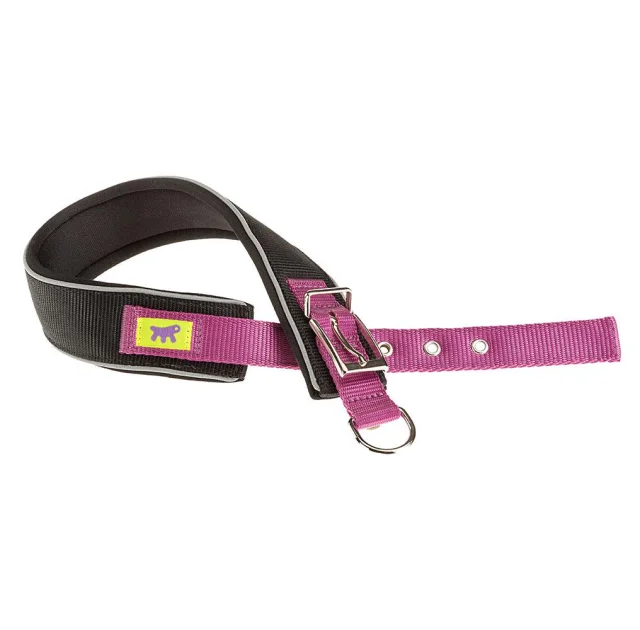 Нейлоновий нашийник Ferplast Daytona Comfort CF40 / 60 Purple для собак, фіолетовий, A: 52x60 см, B: 40 мм