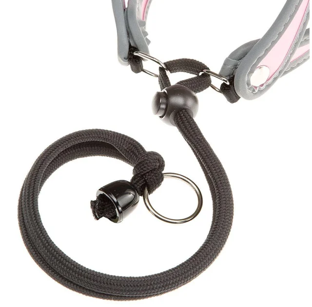 Ferplast Agila 1 Harness Pink эргономичная шлейка для собак с эластичным шнуром, 26x38 см